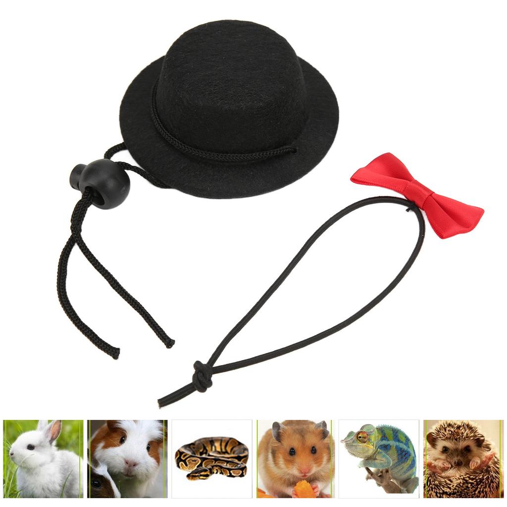 Reptile Hat and Bow Tie Cute Valentine s Day Clothes Set for Bearded Dragon Hamster Guinea (Black Hat Red Bow Tie S)