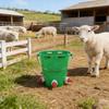 Secchio Appeso con 1/2/3 Tettarelle per Alimentazione Agnelli Vitelli Suinetti Strumento Durevole per L'allattamento di Animali Multipli Attrezzatura per L'abbeveraggio da Fattoria