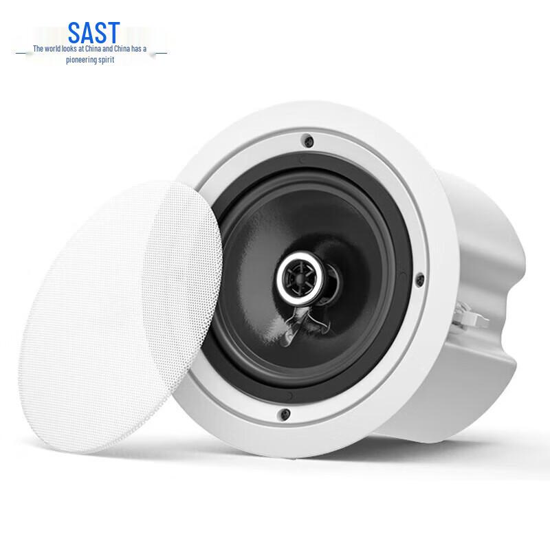 

SAST 8-inch Coaxial Ceiling Speaker CN plug (adapter included)