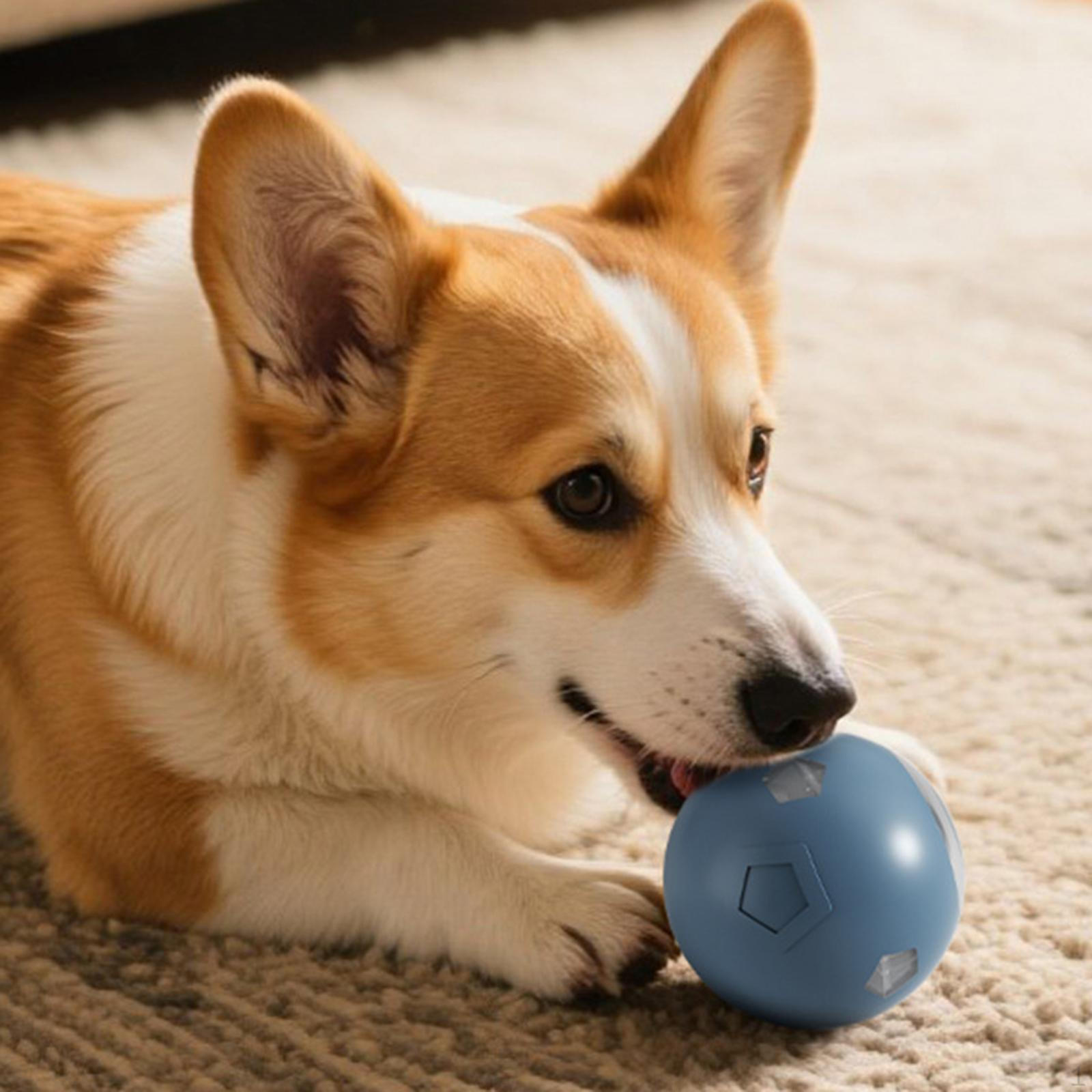 

Automatic Cat Ball Toy Colorful Light Obstacle Avoidance Self Moving Smart Electric Light gray blue