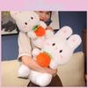 Rabbit Plush Doll Birthday Gift Rabbit Toy Persimmon Luck Decoration Animal