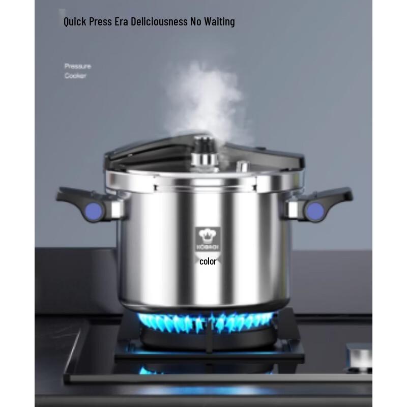 KOBACH German-Style 304 Stainless Steel Foldable Pressure Cooker