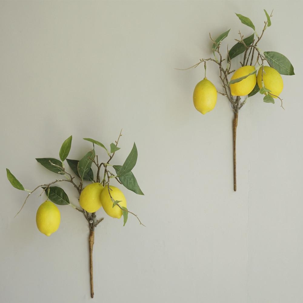 Composizione Floreale Fresca Stile Foresta con Rami di Limone per Decorazione Soggiorno o Vetrine