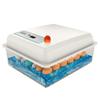 Weida Fully Automatic Small Incubator for Chicken, Duck, Goose, Pigeon, and Peacock Eggs