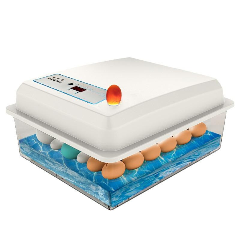 Weida Fully Automatic Small Incubator for Chicken, Duck, Goose, Pigeon, and Peacock Eggs