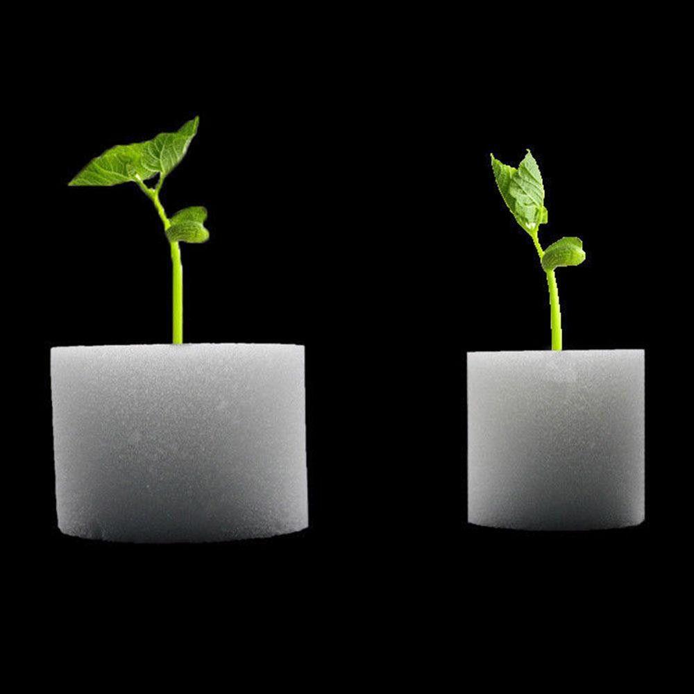 10/50pcs Hot sell Cultivation Aquarium Seed Trays Nursery Sponge Flower Pots Soilless Hydroponic