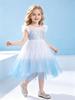 Princess Elsa Lace Dress - Cute & Stylish Short Sleeve for Girls