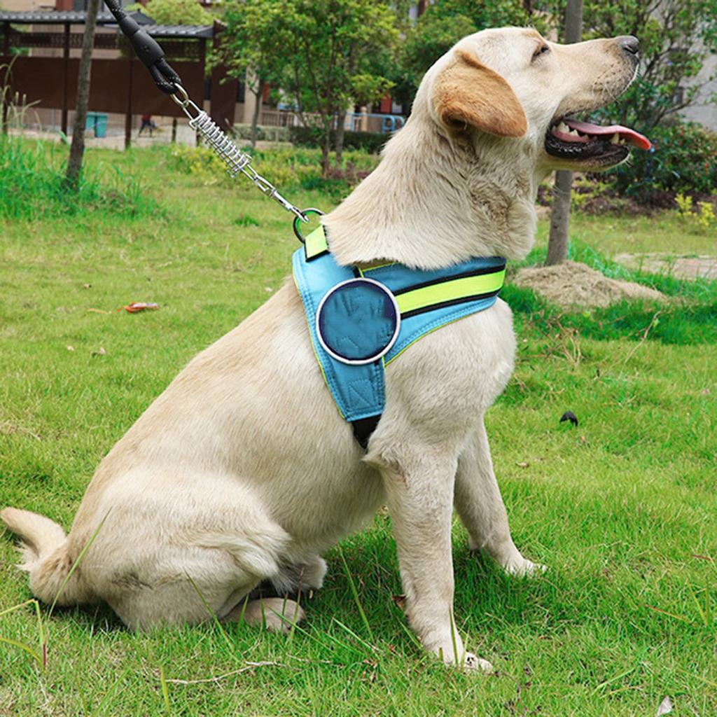 cesar millan no pull harness