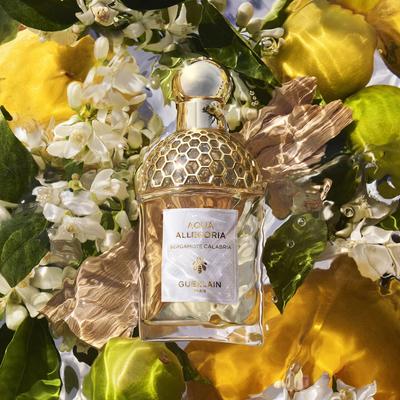 Eau de Toilette Aqua Allegoria Bergamote Calabria 75 ml - 