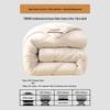 Antibacterial Winter Xinjiang Cotton Blend Quilt