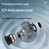 Newmine K519 Portable Bluetooth Karaoke Speaker CN plug (adapter included)