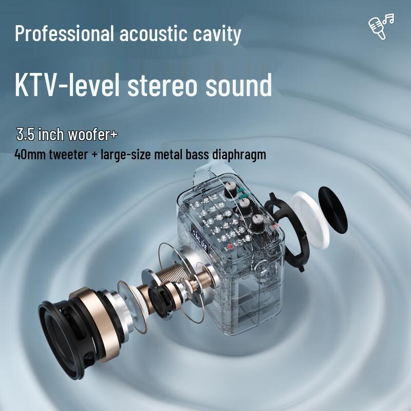 Newmine K519 Portable Bluetooth Karaoke Speaker CN plug (adapter included)
