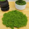 Simulation Moss Diy Artificial Moss Green Plant Decoration Landscaping Bonsai Pavement Silky Fake Moss