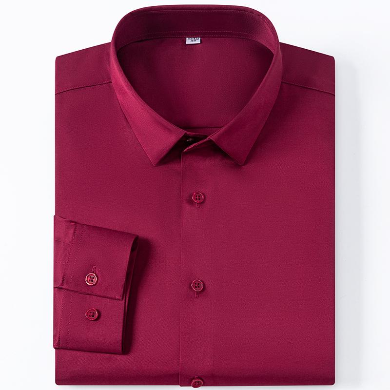 Men's High-End Stretch Non-Ironing Seamless Shirt Long Sleeve Spring and Autumn Youth Business Casual Shirt