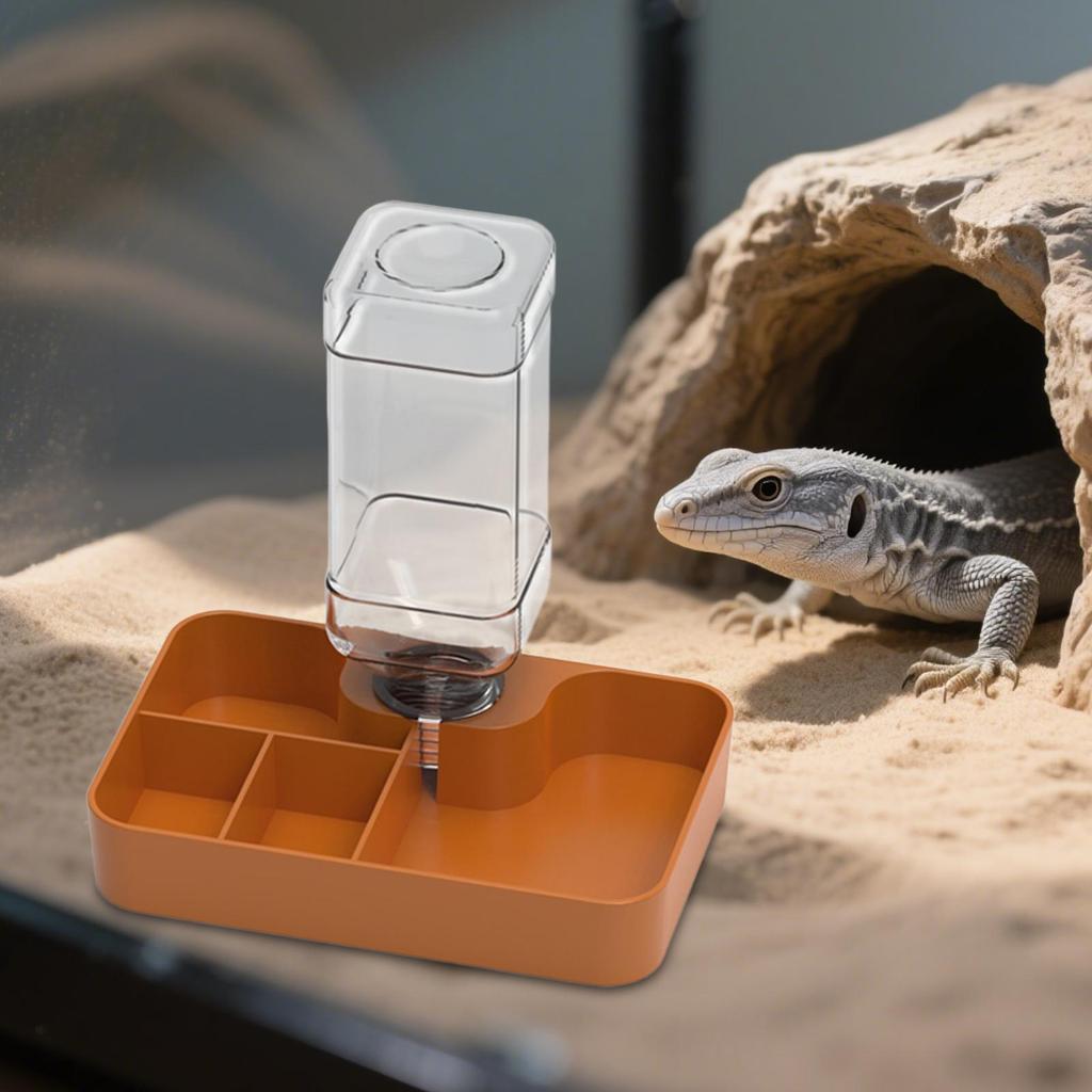 Reptilien Futterspender Amphibien Zubehör Mehrere Fächer Automatischer Wasserspender für Chamäleon Schlange Gecko Schildkröte Schildkröte