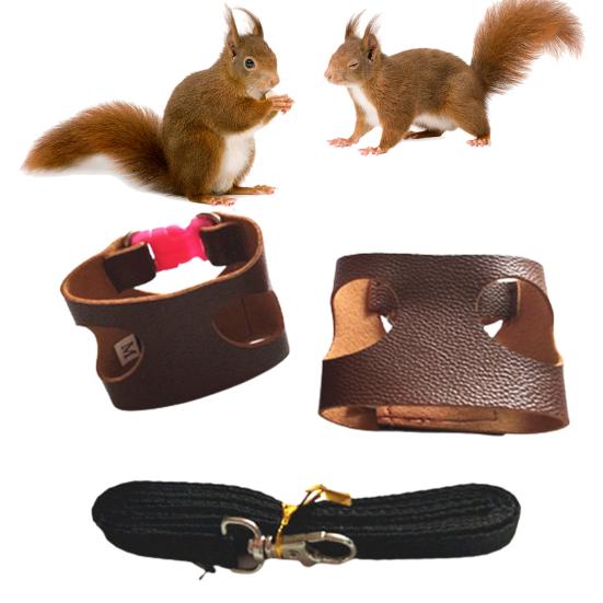 Squirrel Harness Anti-knot Leash Chest Anti-biting Faux Strap Leather Pet