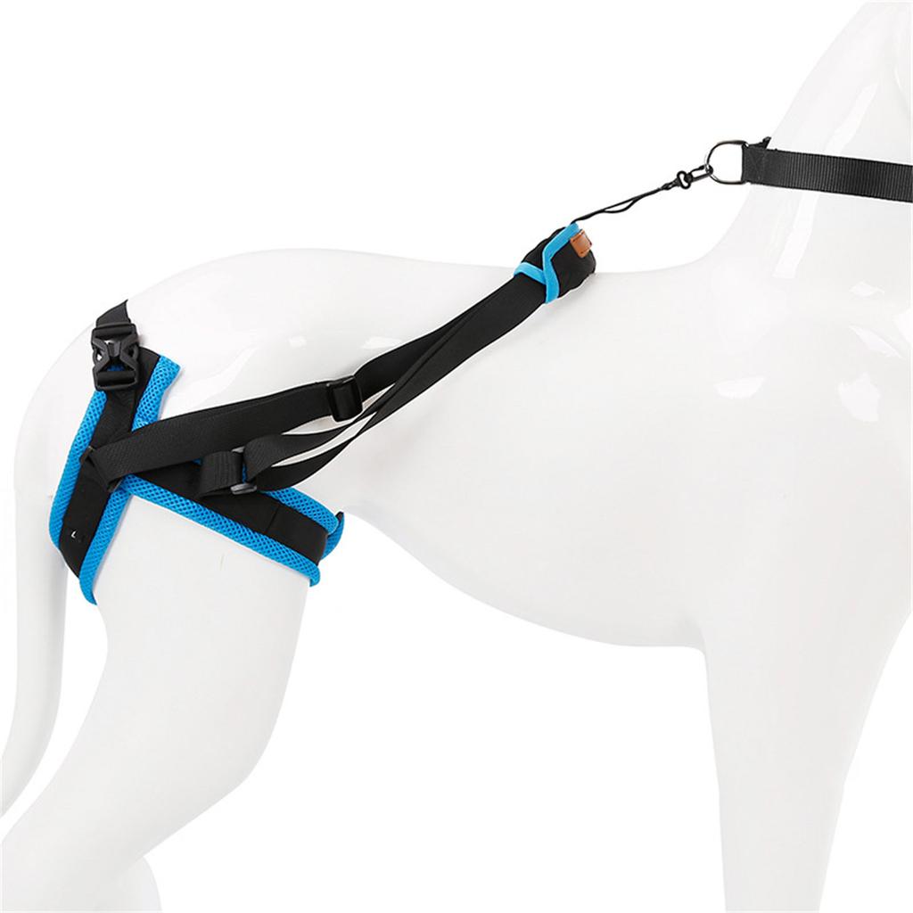 Adjustable Dog Lift Harnesses Dog Rehabilitation Harnesses Dog Walking Aid for Small and Large Dogs Surgery Recovery