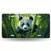 D Flat Activation D Flat Car Art Panda License Plate Frame X Cm Durable with Holes Polished Car Accessory Un