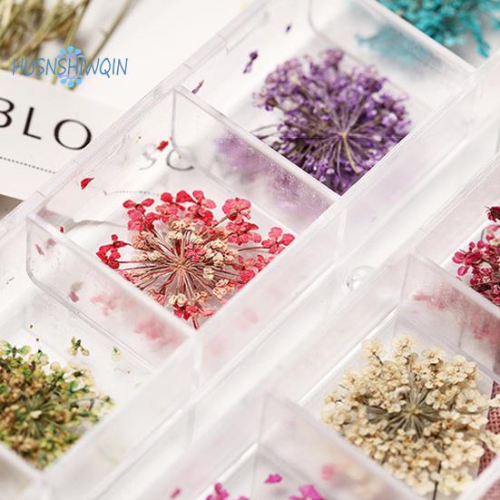 1 boks 10g tørket blomst negldekorasjon 12 farger Naturlig blomsterblandet tørrblomst DIY smykker Charms Manikyr dekor UV Gel Polish Nail Art Supplies
