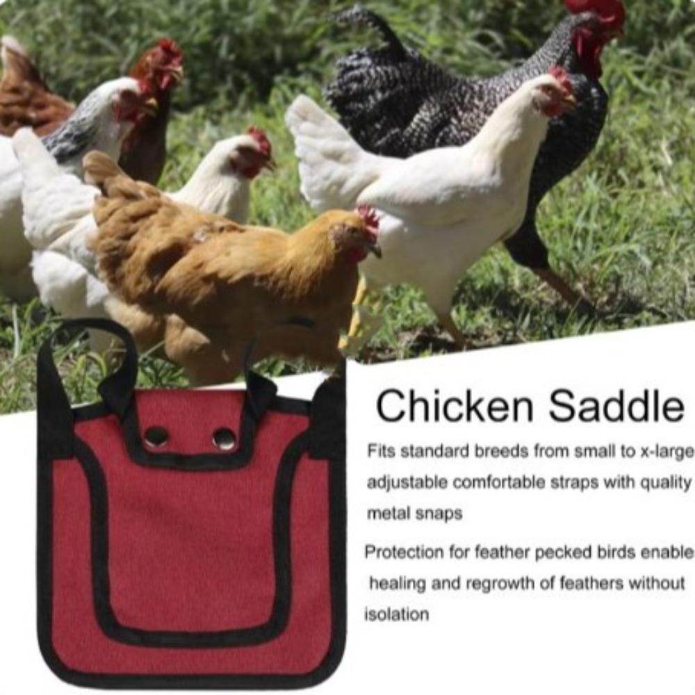600D Chicken Saddles Adjustable Strap Hen Dress Keep Warm Hen Apron Pet Clothes