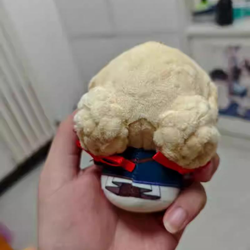 Anime Violet Evergarden Peluche Bambole Ciondolo Morbido Viola Bambola Imbottita Portachiavi Viola Peluche Giocattoli Fan Bambini Regalo di Natale Decorazione