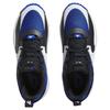 31 DAMECERTIFIED Basketball Shoes Team 250 [Adidas] (id1811) ROYBLU/Fu