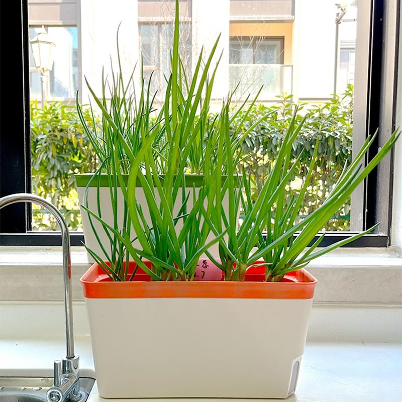 Vasi Rettangolari Vasi per Piante Succulente Vaso per Bonsai Paesaggistico Vasi per Piante Verdure Vaso per Coltivazione Fioriera Quadrata