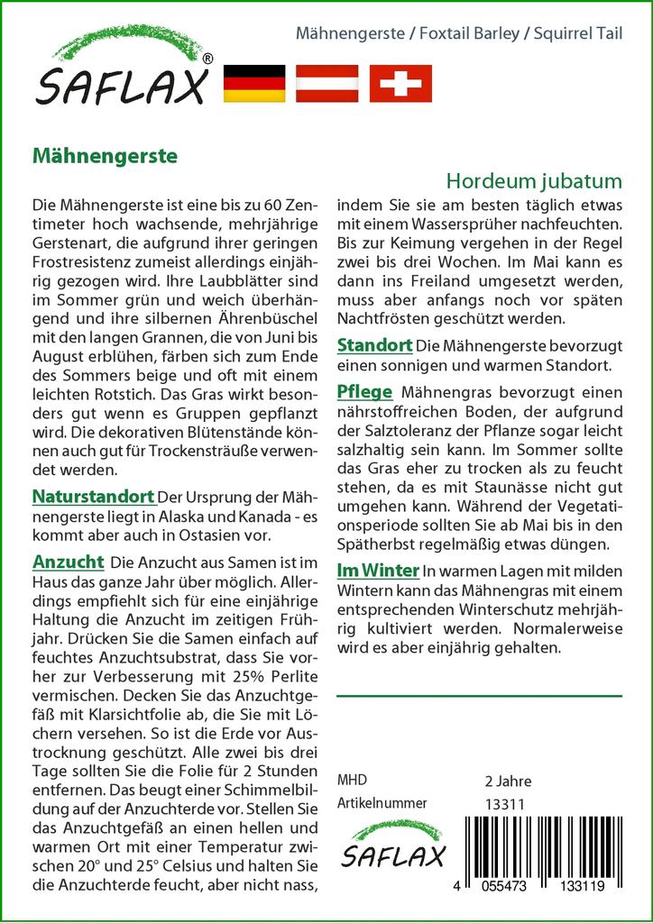 SAFLAX Garden in the Bag - Coada de vulpe Orz / Coada de veverita - 70 de seminte - Cu substrat intr-o punga potrivita - Hordeum jubatum