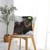 Dog Dachshund Pillow Case Gift for Animal Dogs Lover Cushion Cover Fashion Polyester Decor Pillowcover for Sofa 18x18