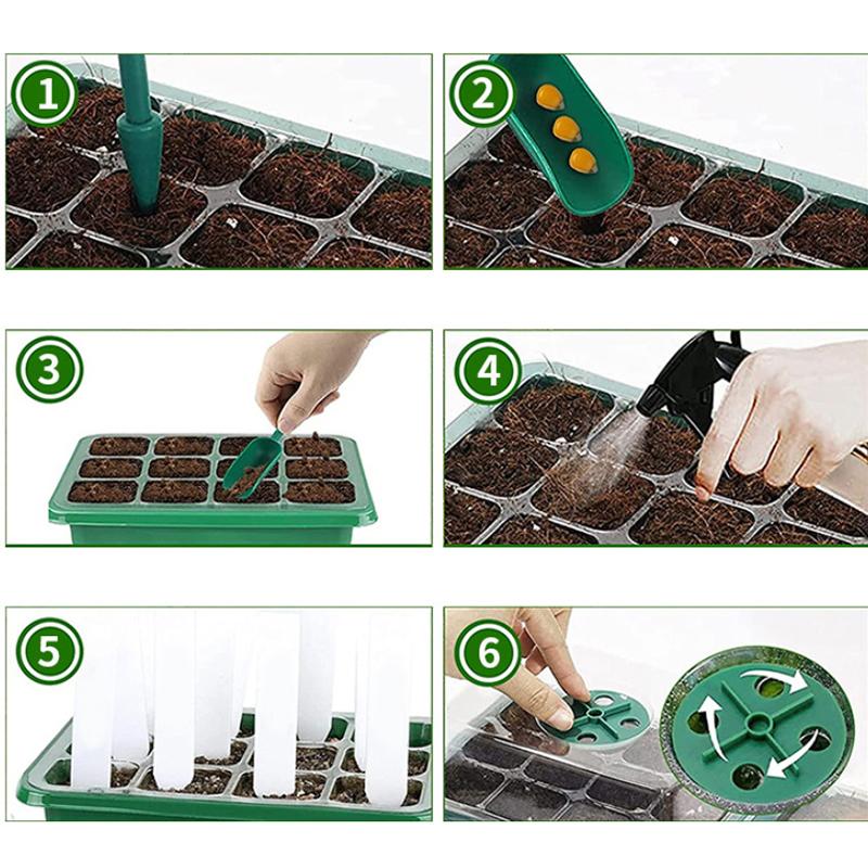 6/12 Holes Seed Starter Tray With Humidity Dome Succulent Propagation Tray Mini Greenhouse Germination Tray For Succulent Plant