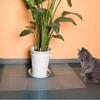 with Spike Anti-Cat Thorn Mat Plastic Cat Repellent Mat New Training Pads  Keeping Cats Dogs Away
