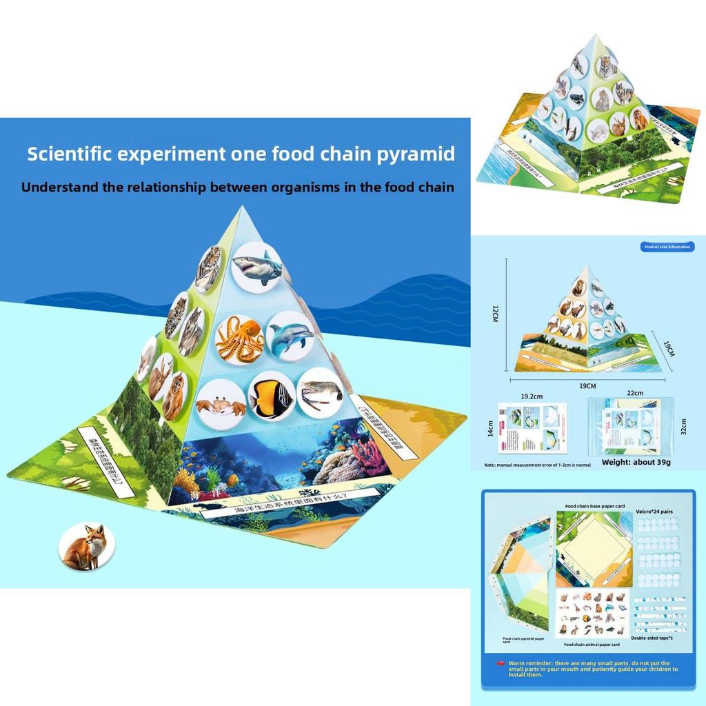 Paper Food Chain Pyramid Model Assembly Material Set Puzzle Toys For Children Educational Biology Set
