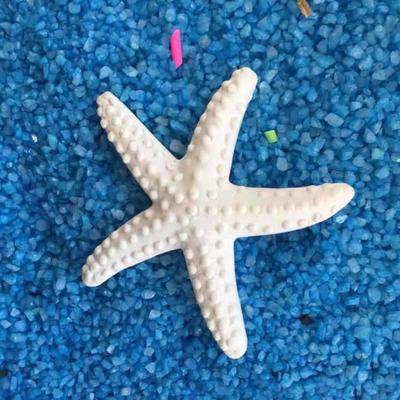 Symulacja rozgwiazdy realistyczne realistyczne plastikowe słodkie sztuczne rozgwiazdy na ścianę