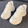 Mesh Breathable Height Increasing Versatile Dad Shoes Spring 2025 New Small Thick Sole Explosive Street Women's Shoes
