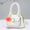 Hand bag to work multi-pocket shoulder bag women's bag straddling into the model