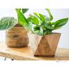 Posh Living Polygon Pot W16 x D16 x 41334 Cover, Medium, Wood, H14cm,