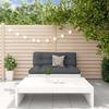 VidaXL Garden Lounge Set with 2 Pcs Cushions, Sofa with Backrest, Furniture Set with Coffee Table Patio Terrace, 3186131