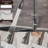 TLXT Copper Pull-Out Kitchen Faucet