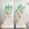 HAIRJOY Anime Dr.Stone Ishigami Senkuu Cosplay Wig Short Green Mix Synthetic  Hair
