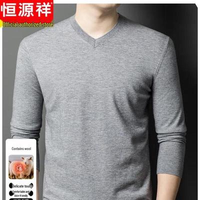 Men's V-Neck Thick Wool Blend Pullover Sweater