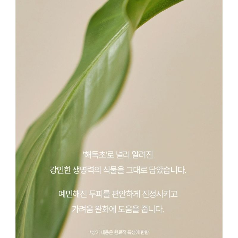 Donggubat - Shampoo Bar For Sensitive Scalp