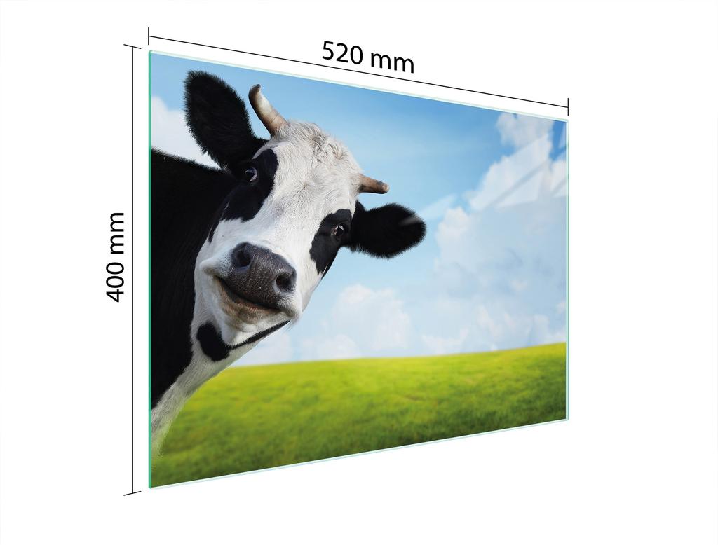 SZKLANA DESKA DO KROJENIA 52x40 KROWA