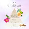 Elixir Lotion Brightening Moist Type CA 2026 Model Main Unit 170mL Quasi-Drug Whitening Transparency Spot Prevention Firmness Moisture Anti-Aging Care