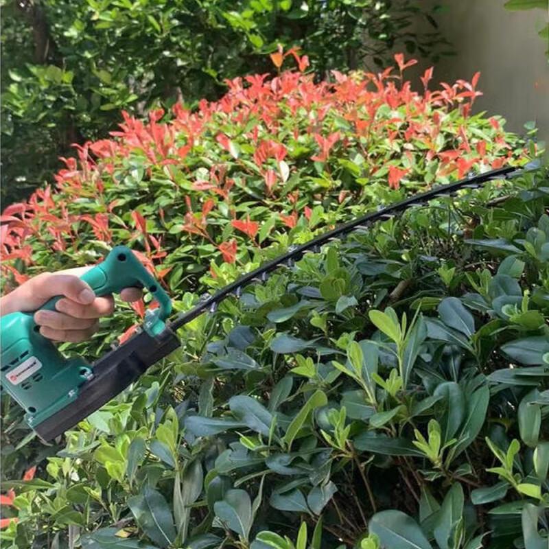 Qinyan Electric Portable Hedge Trimmer & Pruner CN Plug (adapter Included)