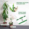Plant Support Pole, Hippeastrum, Phalaenopsis Flower Climbing Fixed Frame, -toppling Bracket, Support Pole Fixing Tool