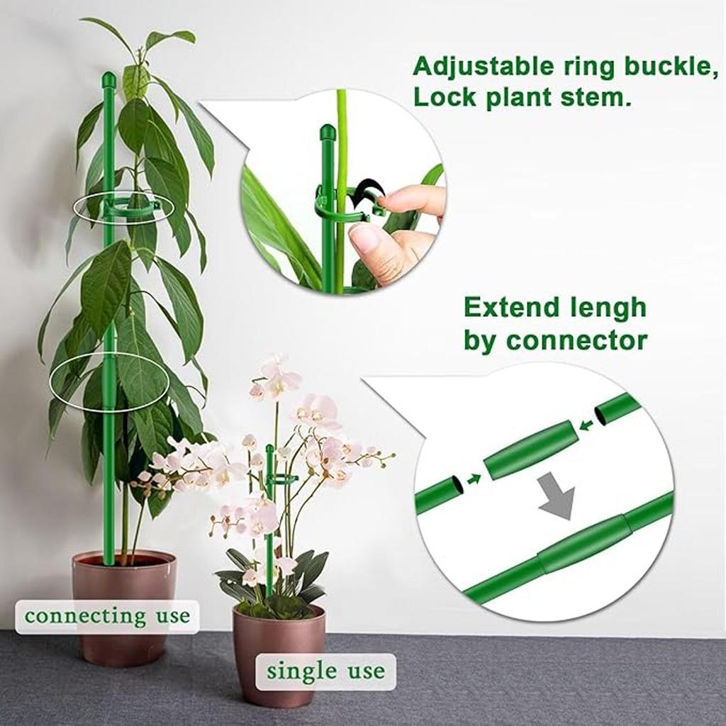 Plant Support Pole, Hippeastrum, Phalaenopsis Flower Climbing Fixed Frame, -toppling Bracket, Support Pole Fixing Tool