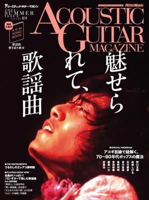 Peças e acessórios para guitarra – Acessórios para guitarras