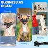3pack Dog Muzzle Suits for Small Dogs, Drinkable Breathable Mouth Guard, Adjustable Strap Soft Dog Muzzle to Prevent Biting Chewing, Air Mesh Muzzles