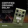 Brigg Delay Strymon Strymon/BRIG