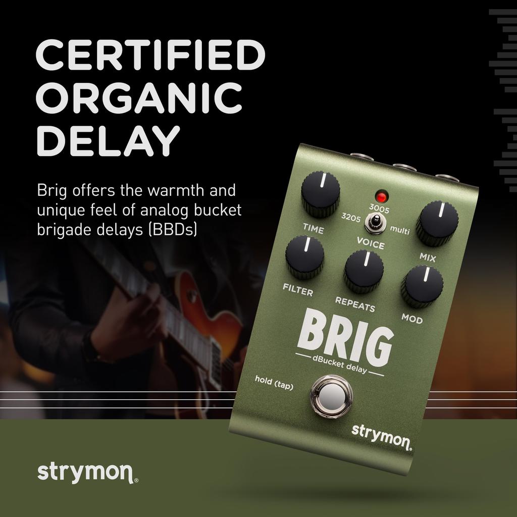Brig Delay Strymon Strymon/BRIG